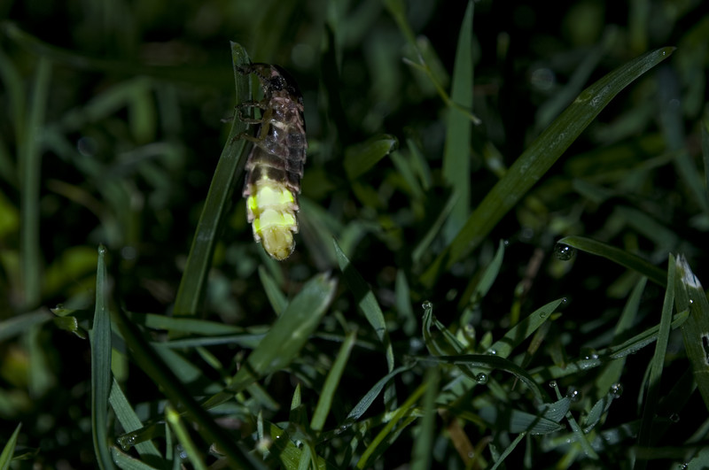 East Cape Manuka Company and Glow Worm Grotto