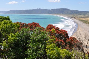 Hicks Bay New Zealand