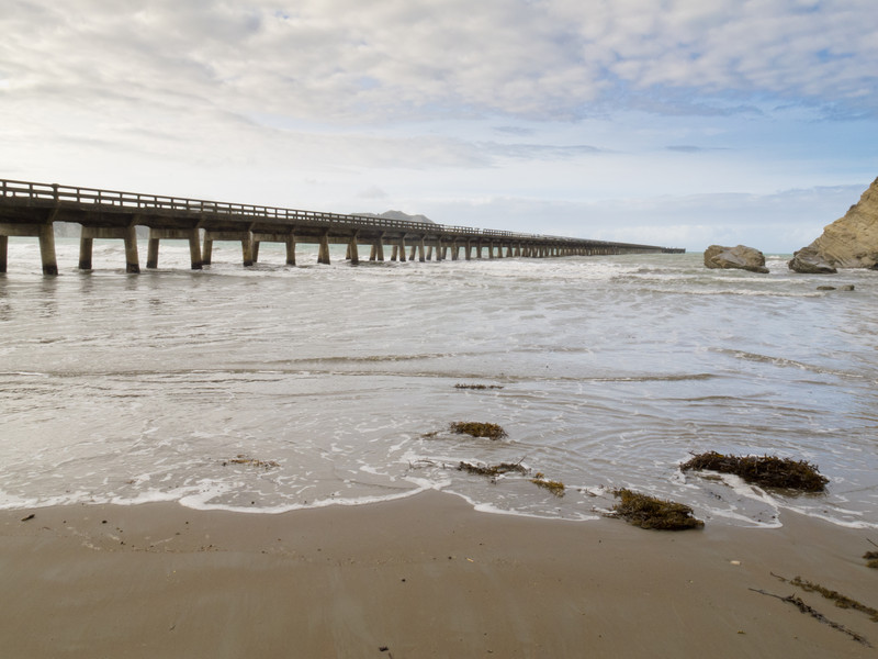 Free Activity in New Zealand