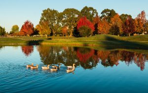 New Zealand in May and June