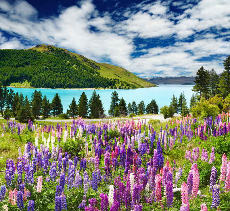 September in New Zealand