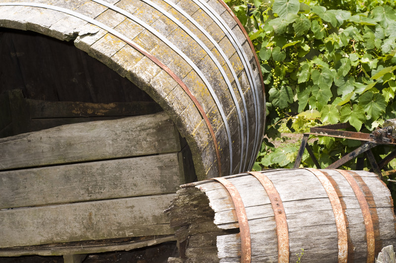 Wine Tasting in the Gisborne Region