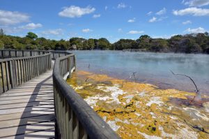 Cheap or free things to do in Rotorua in Spring
