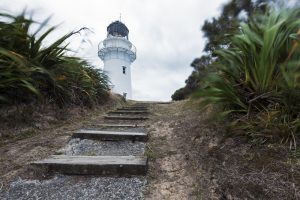 Relaxed Lodging in New Zealand