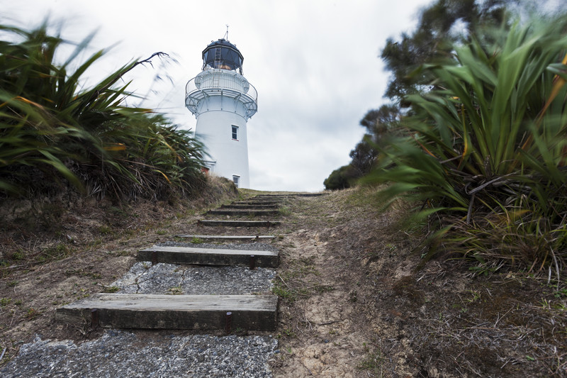 Relaxed Lodging in New Zealand