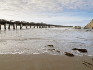 tolaga bay wharf