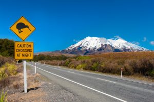 New Zealand in Winter