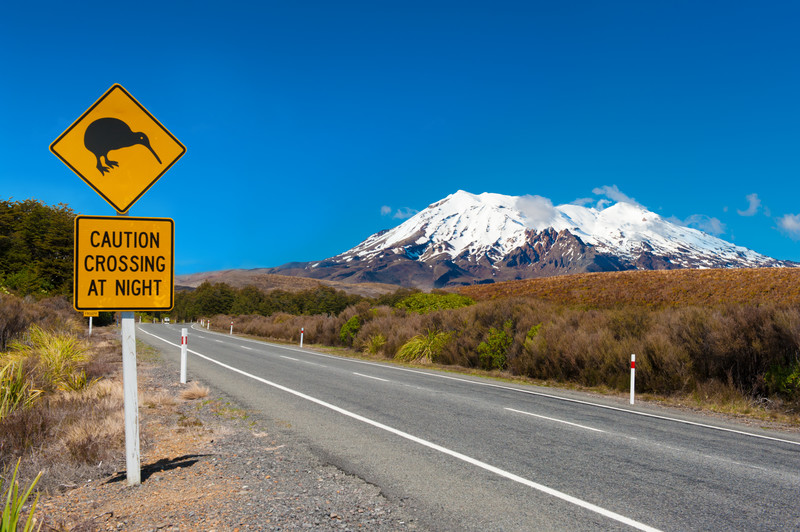 New Zealand in Winter