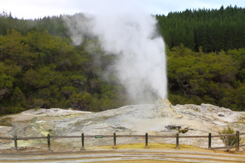lady knox wai o tapu geothermal park