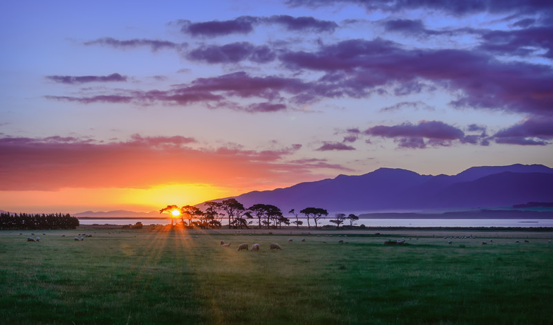 Spring in New Zealand